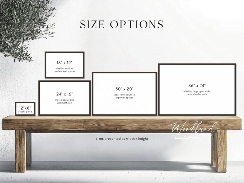 May include: Image showing framed art size options: 30.5cm x 20.3cm, 45.7cm x 30.5cm, 61cm x 40.6cm, 76.2cm x 50.8cm, and 91.4cm x 61cm. Each frame is black with white space inside. The text "SIZE OPTIONS" is at the top. The frames are displayed on a wooden bench.