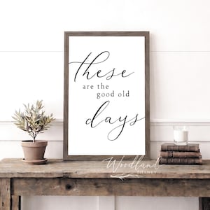 These Are The Good Old Days Framed Sign