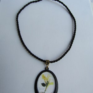 Op de afbeelding: Zwarte koordketting met een ovale hanger. De hanger heeft een geperste bloem met het woord "Jasmine" eronder geschreven. De hanger is zwart omlijst met een goudkleurige balein.