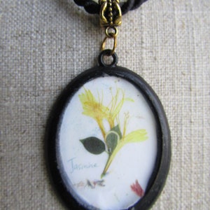 Op de afbeelding: Ovale hangerketting met een geperste gele bloem en het woord "Jasmine" op een witte achtergrond. De hanger heeft een zwart frame en hangt aan een zwarte koordketting met een goudkleurige sluiting.