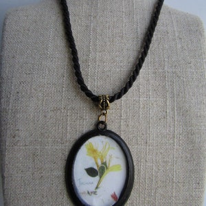 Op de afbeelding: Een zwarte touwketting met een ovale hanger. De hanger heeft een geperste gele bloem met het label "Jasmine" in een zwart frame. De ketting wordt getoond op een beige mannequin.