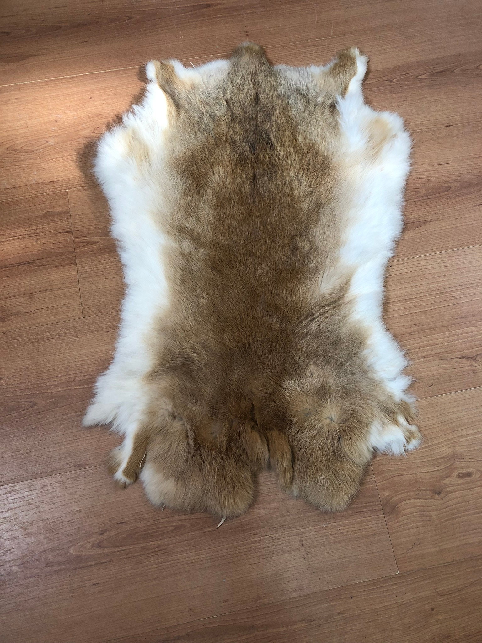 Soft Dark Silver Gray Rabbit Fur Pelt Gray Fur Rabbit Skin Etsy