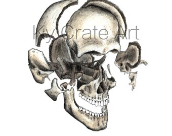 Exploding Skull Print