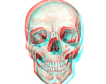 Skull Print
