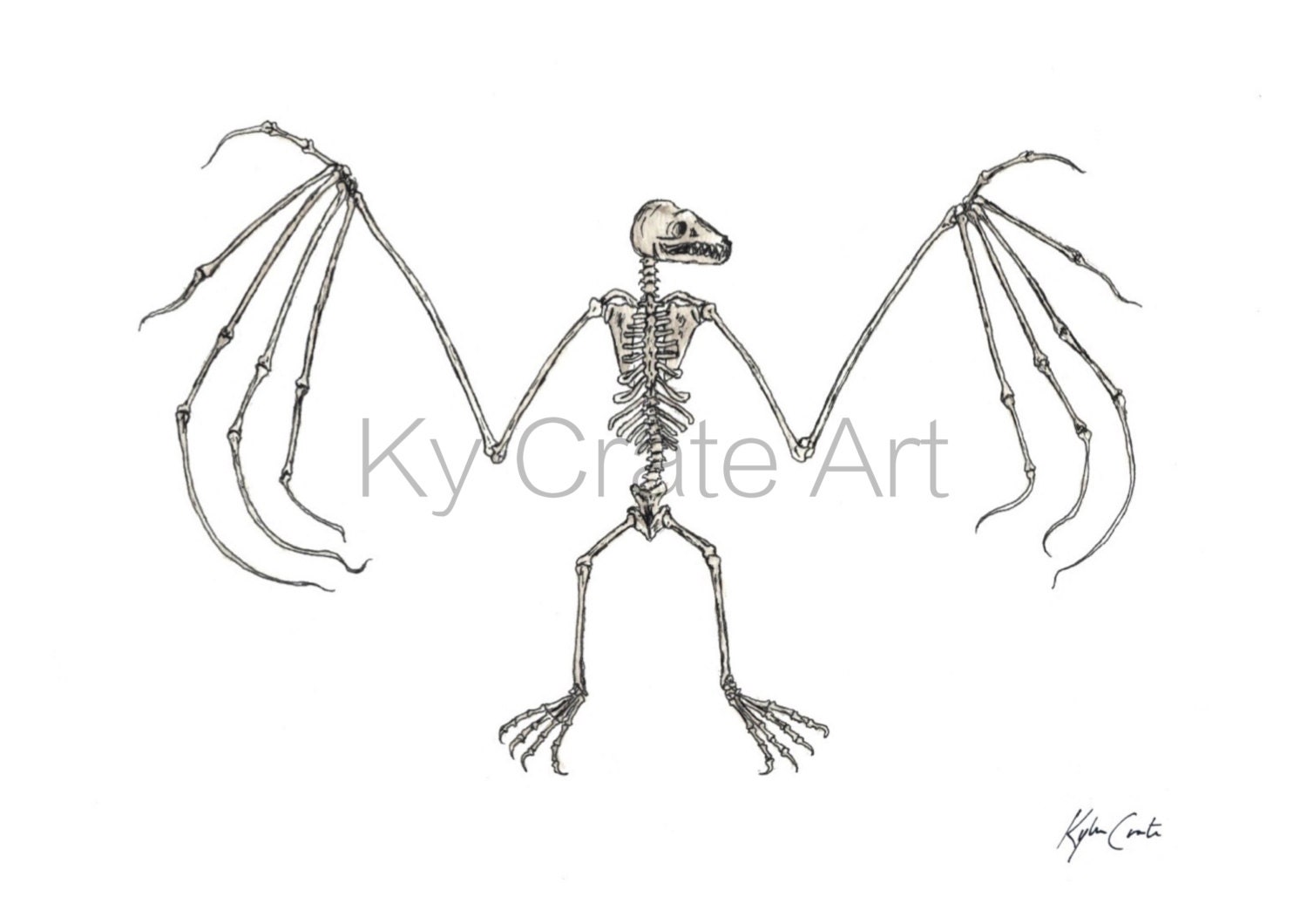 Bat Skeleton Etsy