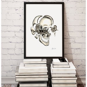 Op de afbeelding: Een zwart-witte illustratie van een menselijke schedel met de bovenkant van de schedel verwijderd, waardoor de binnenkant van de schedel zichtbaar wordt. De schedel is realistisch getekend en is geplaatst tegen een witte achtergrond.