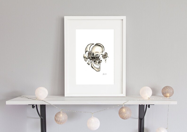 Op de afbeelding: Een zwart-witte tekening van een menselijke schedel met de bovenkant van de schedel verwijderd, waardoor de binnenkant van de schedel zichtbaar wordt. De tekening is ingelijst in een wit frame en hangt aan een witte muur.