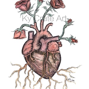 May include: A hand-drawn illustration of a human heart with rose stems growing out of it. The heart is brown and pink with black veins. The roses are pink and have green stems and leaves. The heart is rooted in the ground with brown roots.