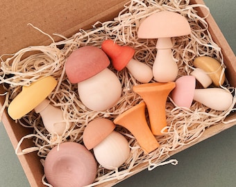 Ensemble de champignons en bois - 10 pièces - Jouets en bois - Jouets inspirés de Waldorf - Jeu imaginatif - Cadeau de Noël pour enfants