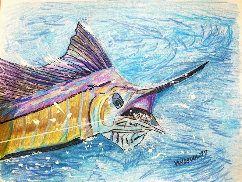 ORIGINAL Drawing SAILFISH Saltwater Fishing Fish Ocean Sea Life Coastal