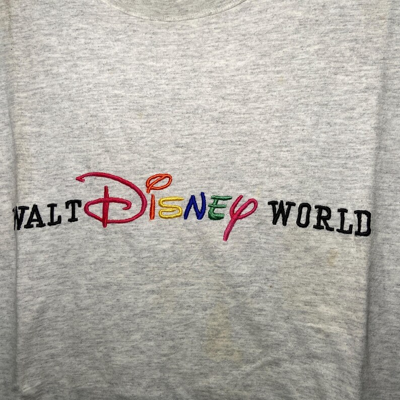Pu&ograve; includere: Una maglietta grigia con il testo "WALT DISNEY WORLD" ricamato in colori arcobaleno.