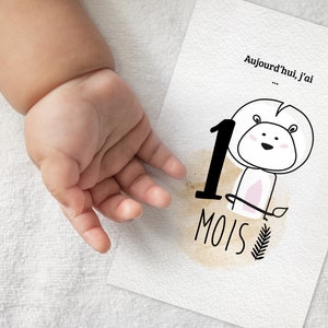Set de 12 cartes étapes - Naissance - Animal bohème - garçon/fille