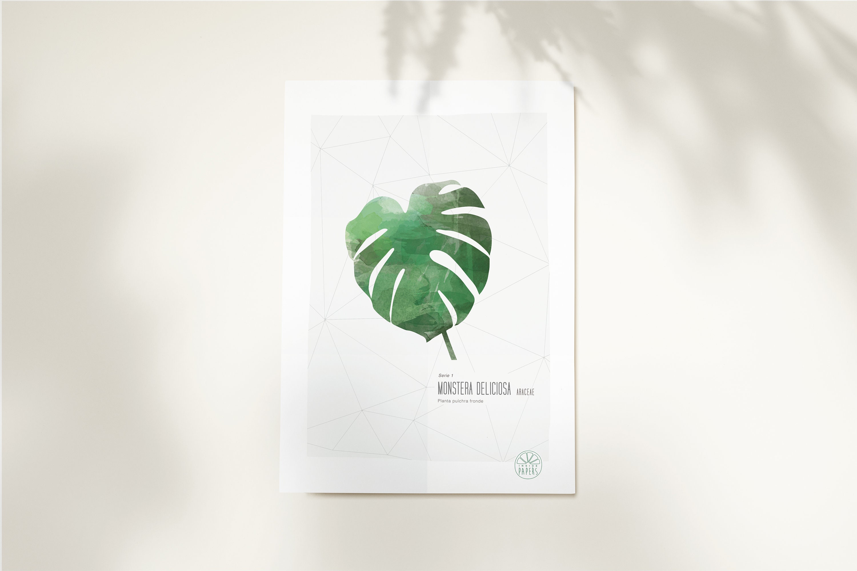 Affiche 40x60 Monstera Deliciosa Poster High Quality Insidepapers Tropical Botanic Vegetal Minimalis