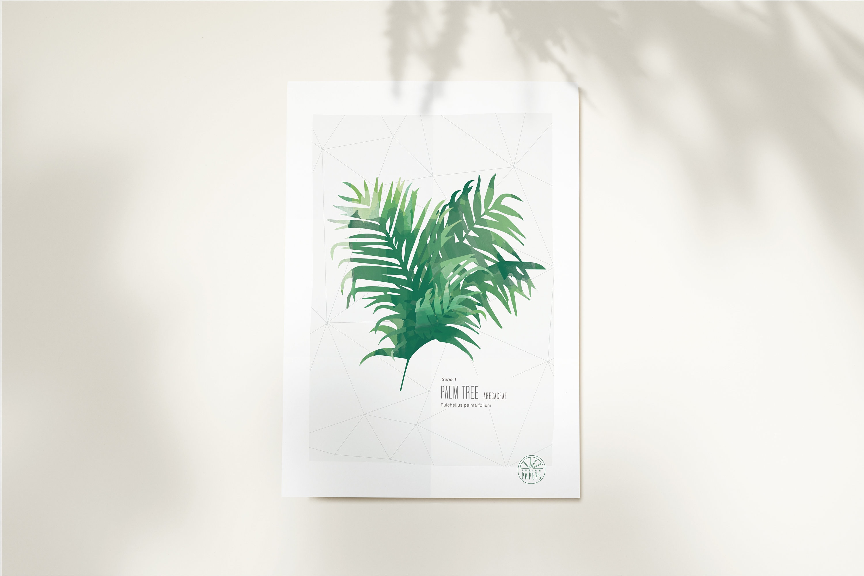 Affiche 21x30 ou 50x70 Palm Tree Poster High Quality Insidepapers Geometric Illustration Tropical Ve