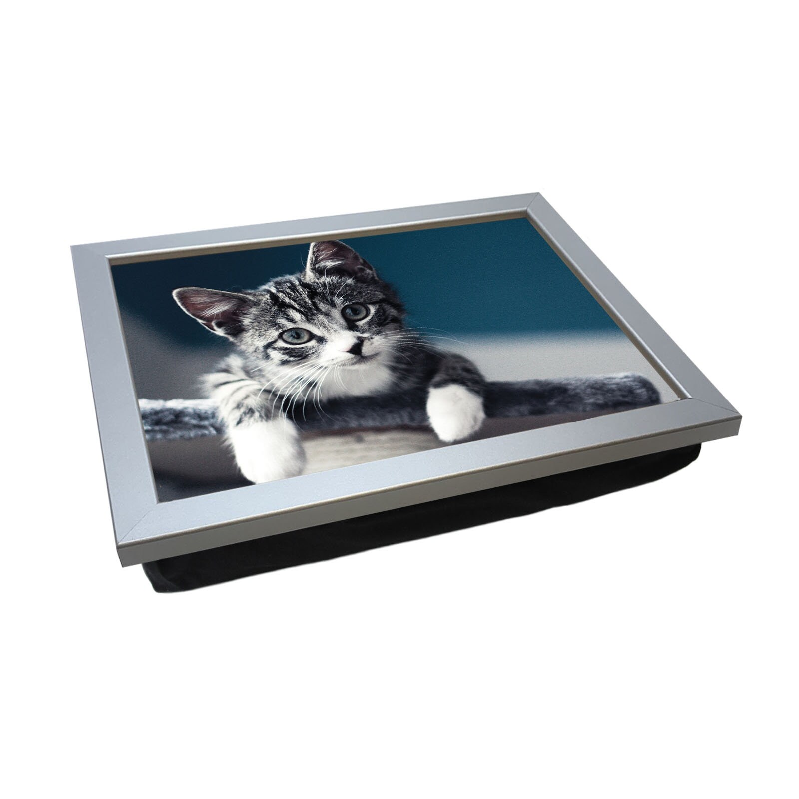 Lap Tray With Bean Bag Cushion, Beanbag Lap Trays for Eating, Lap Desk With  Pillow, Cool Cats, Cat Design Laptray, Purrfect Cat Lover Gift 