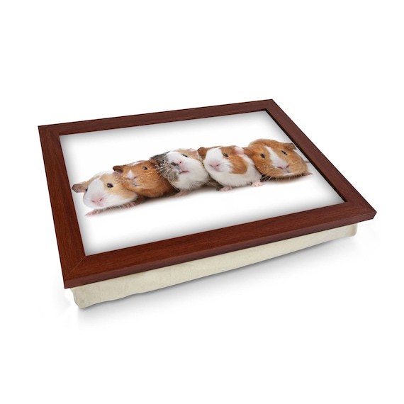 Guinea Pig 1 x Lap Tray Table Bean Bag Padded Cushion Laptop Desk TV