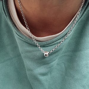 Può includere: Una collana a catena d'argento con un piccolo ciondolo a forma di stella.