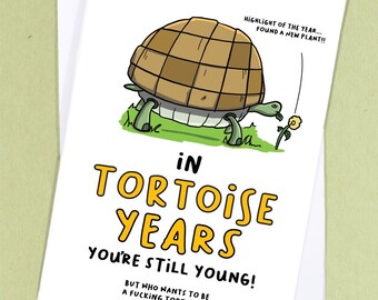 40th birthday card / 30th birthday card boyfriend / Old person birthday card / Funny tortoise birthday card / Old person joke /  - GC471