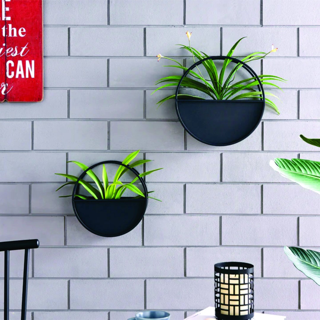 Gallery Detail: Wall Planter Set Round Black Iron 2 Pieces Garden Plants