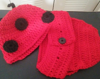 Lady Bug diaper cover and hat