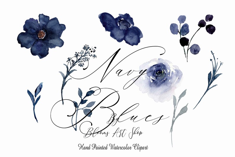 May include: Watercolor clipart featuring navy blue flowers, leaves, and berries. The text "Navy Blues Blooms Art Shop" is written in a cursive font.