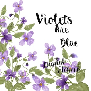 Violette Blumen und Clipart Flieder Veilchen Wildblumen Clipart Planer Scrapbook Clip-Art. WC36