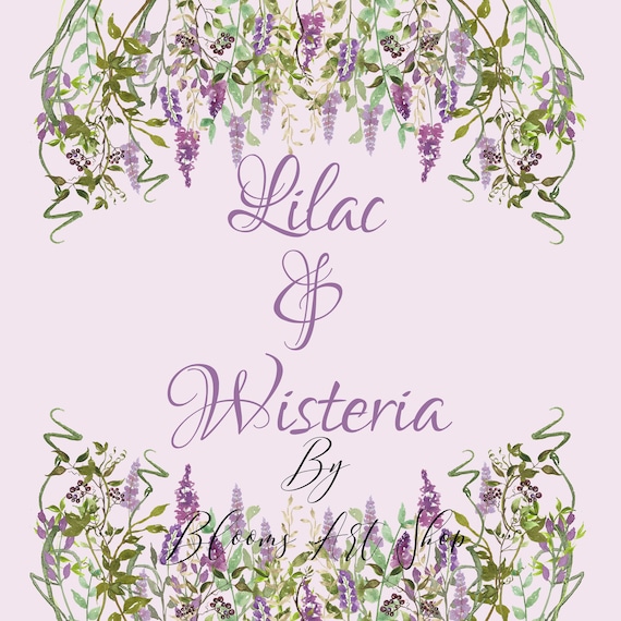 Lilac Wisteria Flowers Clipart; Botanical Wedding Bridal Shower Bouquet Gold Frames. WC45