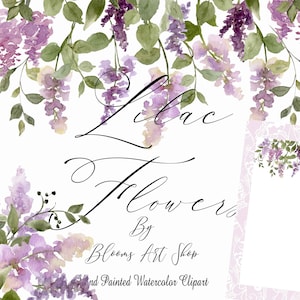 Watercolor Lilac Floral Clip-art Wedding Lilac Bouquets Seamless Lavender Lace Paper. WC437