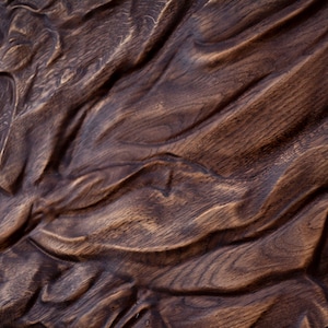 May include: Close-up of a dark brown, carved wooden panel. The wood grain is visible, with a textured, undulating surface. The carving has a flowing, organic design, with deep grooves and ridges. The overall effect is rustic and artistic.