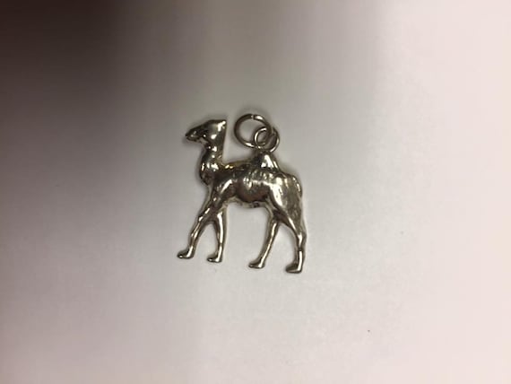 Unique Solid  Silver Egyptian Camel   1'' L X 1/2… - image 2