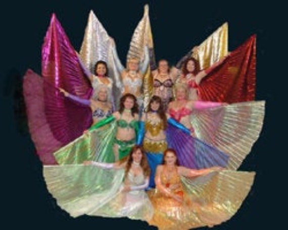 ベリーダンス ISIS YO Belly Dance Costume High Quality Color Fabrics Egyptian Belly Dance Isis Wings 