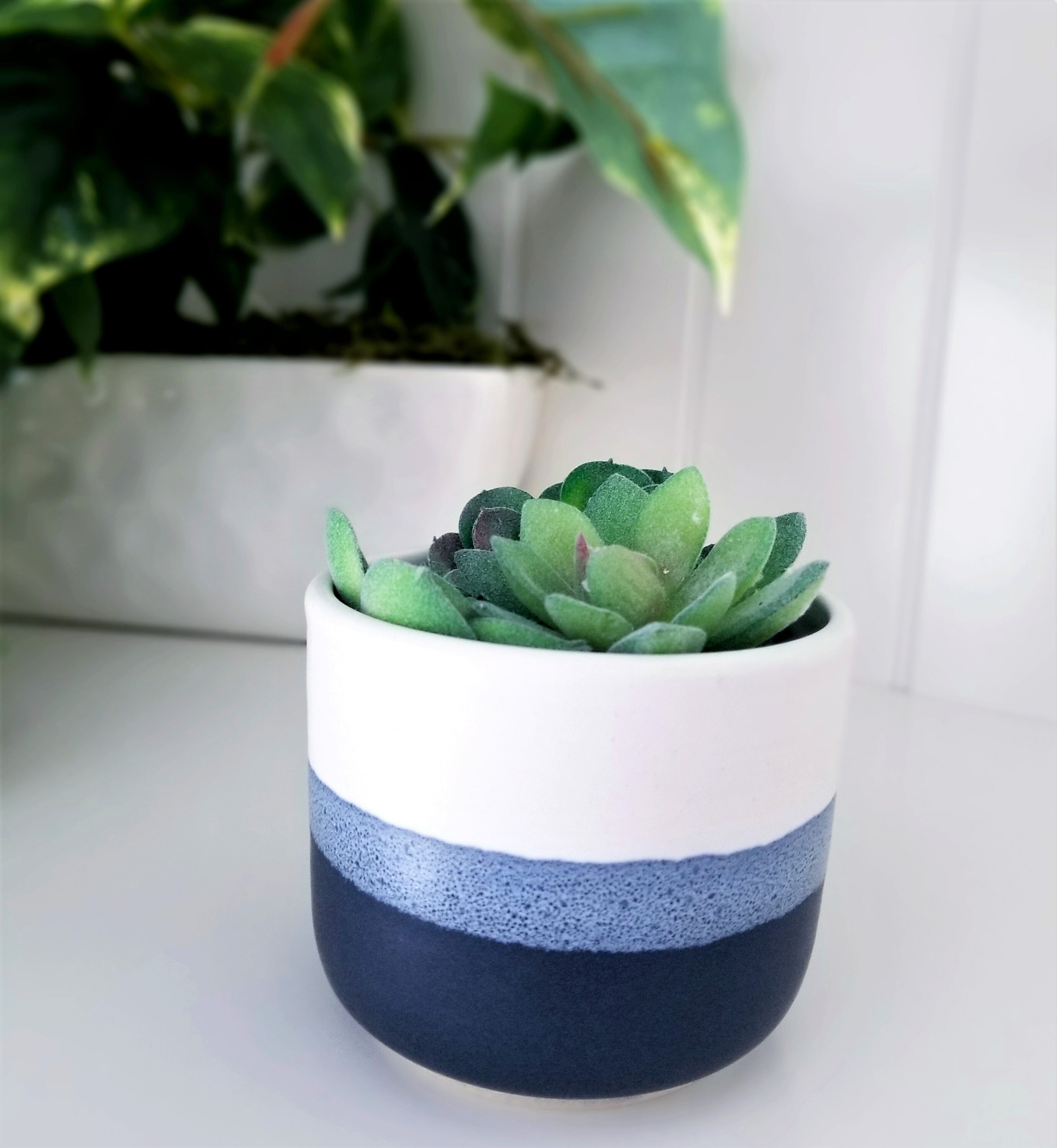 Handmade Ceramic Indoor Planter No Drain Holes Wheel Etsy