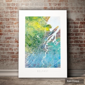Carte de Belfast - plan des rues de la ville de Belfast, Irlande - impression d'art Illustration aquarelle Art mural décoration maison cadeau - impression série Nature