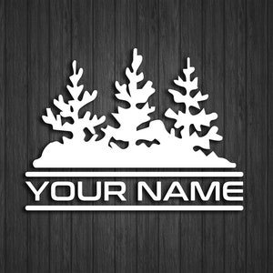 RV / Camper door name sticker 14&quot; tall x 17.75&quot; wide