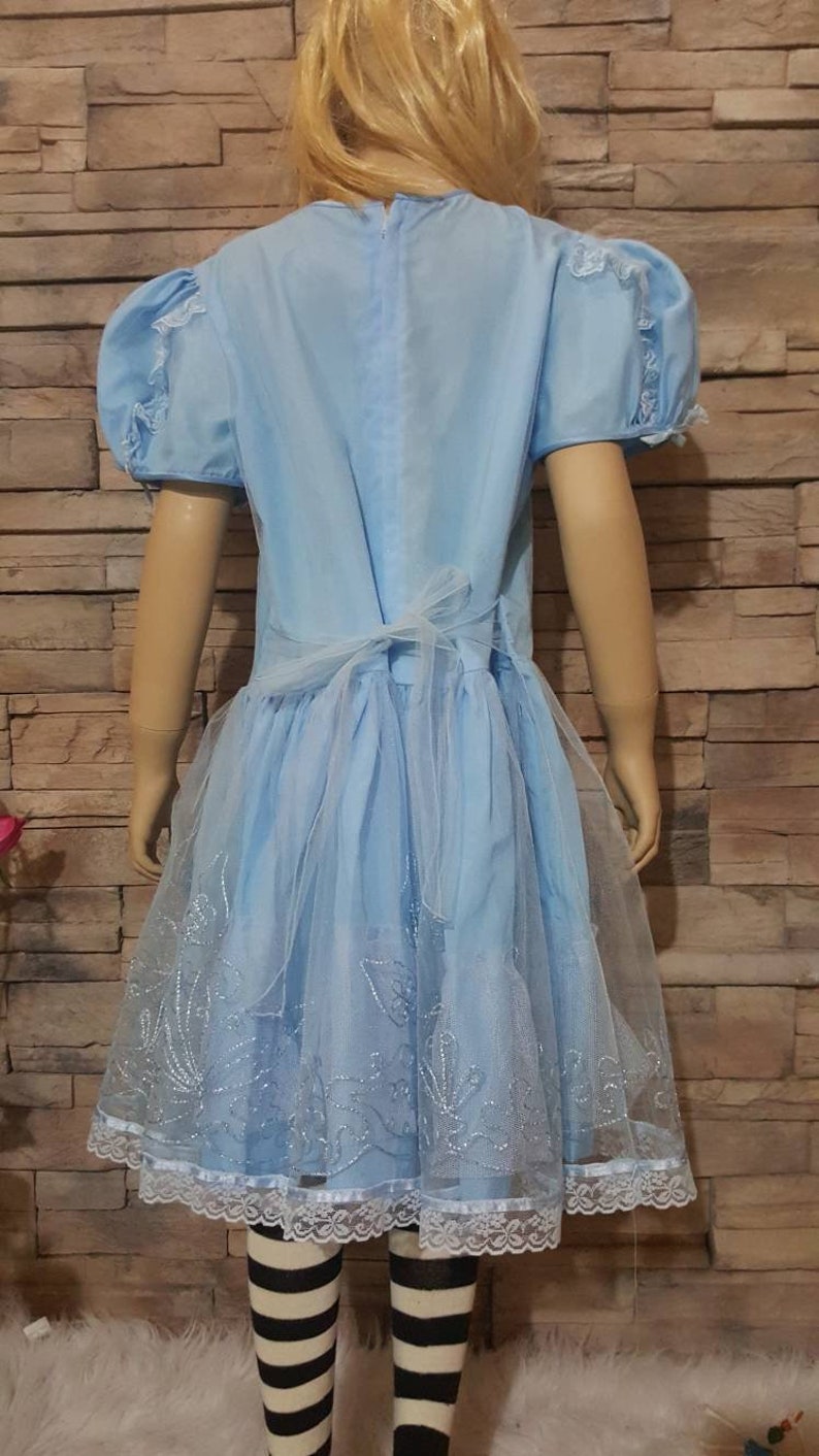 Alice In Wonderland Embroidered Princess Dress