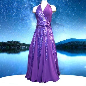 Vintage Sequin Tango Ballroom Dace Dress