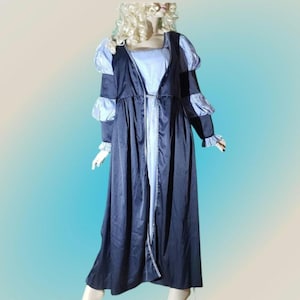 Medieval Costume , Renaissance Dress , 2 Piece Historical Gown