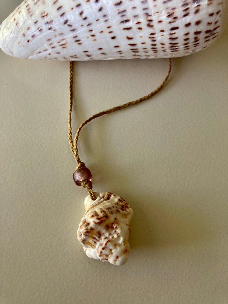 Hawaiian Triton Shell Necklace | Etsy