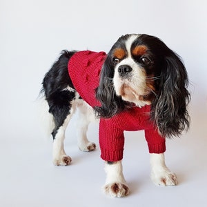 Dog apparel / Hand-knit dog sweater / Warm dog clothes / Dog jacket / Pet clothing /Dog coat / Dog outfits / Dog jumper / Size M image 1