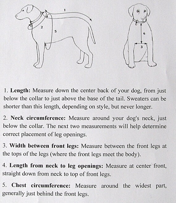 How Do You Measure A Dog For A Knitted Sweater