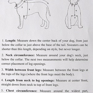 Modèle de base chien XXS / Modèle de tricot chien / Pull chaud pour chien / Modèle manteau XXS pour chien / Modèle de vêtements pour animaux de compagnie / Patron PDF pour chien image 4