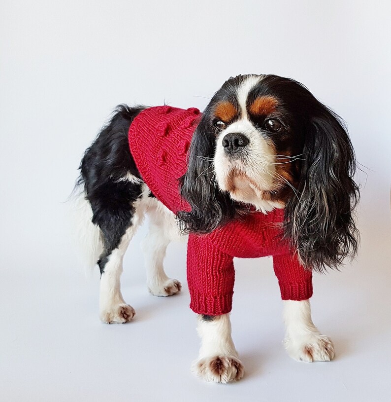 Dog apparel / Hand-knit dog sweater / Warm dog clothes / Dog jacket / Pet clothing /Dog coat / Dog outfits / Dog jumper / Size M image 1