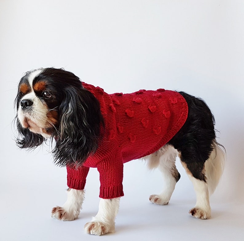 Dog apparel / Hand-knit dog sweater / Warm dog clothes / Dog jacket / Pet clothing /Dog coat / Dog outfits / Dog jumper / Size M image 2