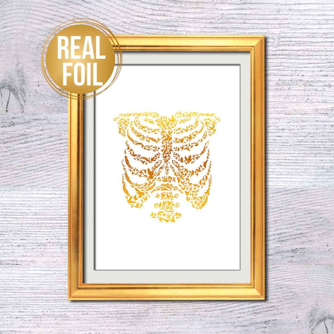 Paper Human Ribs Foil Human Ribs Print: Medical Anatomy Art, Dorm Decor G163 - Etsy