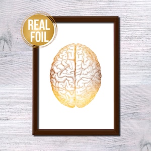 Human brain art poster Gold foil brain Anatomy print Medical decor Vintage illustration Scientific poster Typography art Doctor gift G283
