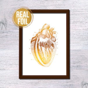 Anatomisches Herz Print, Echtes menschliches Herz Print, Vintage Medizinisches Poster, Wissenschaftliches Wandkunstdekor, Einzigartiges Wissenschaftliches Geschenk für Ärzte G279