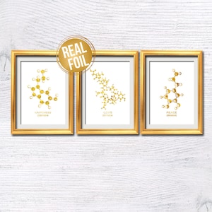 Molecule print Set of 3 Dopamine molecule Real foil poster Oxytocin print Serotonin poster Molecule structure Birthday gift Home decor G511