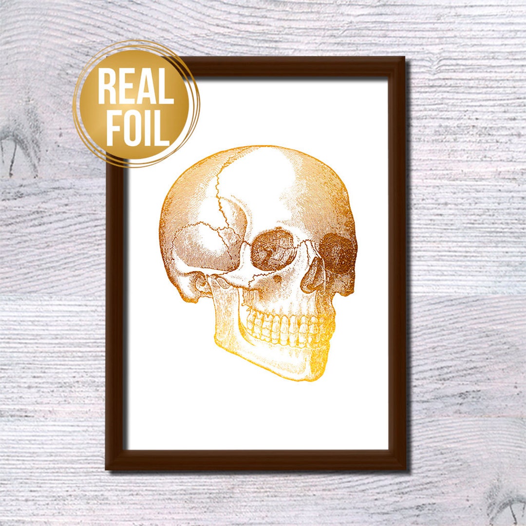 Human Skull Poster Gold Foil Print Vintage Skull Illustration Medical