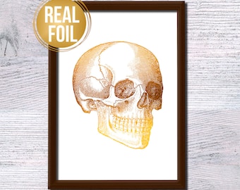 Human skull poster Gold foil print Vintage skull illustration Medical print Anatomy poster Medical decor Scientific print Office decor G271