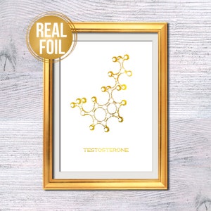 Testosterone molecule Sex hormone Real foil poster Testosterone print Home decor Testosterone poster Wall art Natural hormone print G529